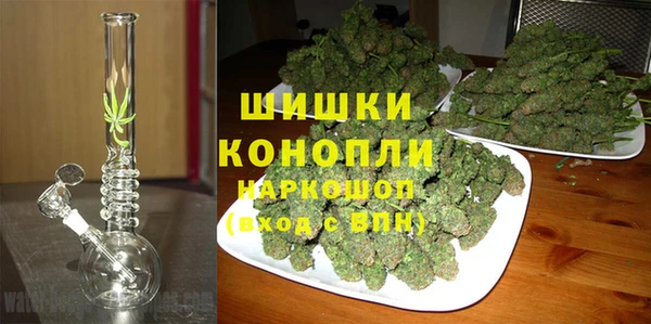 трава Елизово