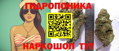 2c-b Кандалакша