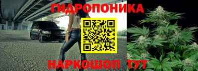 2c-b Кандалакша